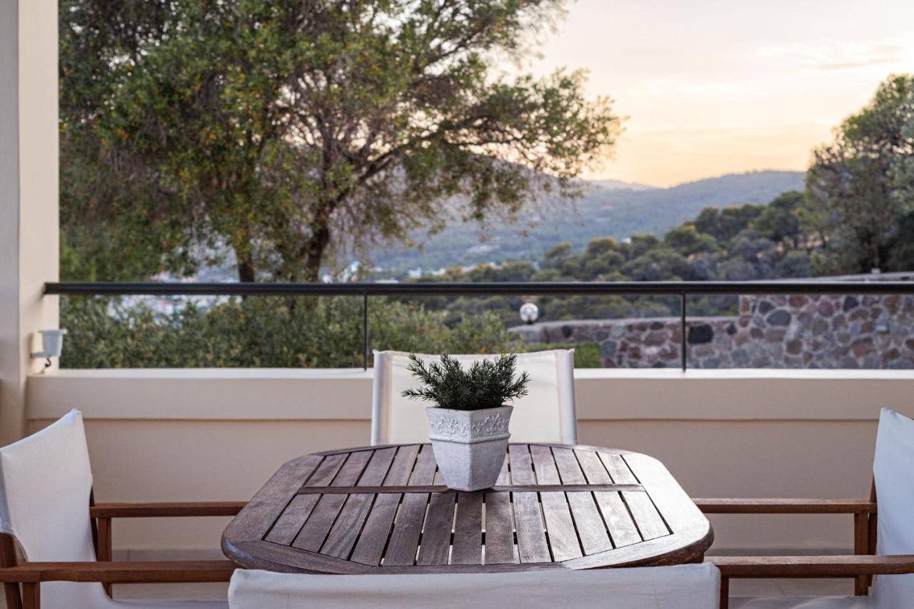 Aphaia Villa & Residences Aegina Agia Marina  Dış mekan fotoğraf